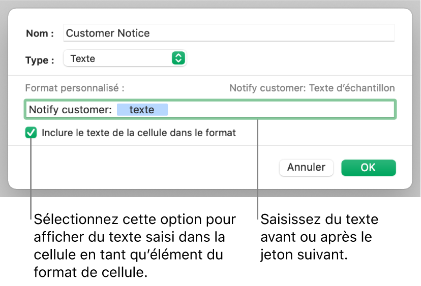 Format de cellule texte personnalisé.