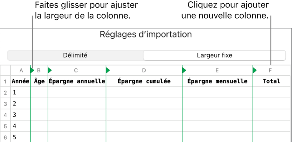 Les réglages d’importation d’un fichier texte à largeur fixe.