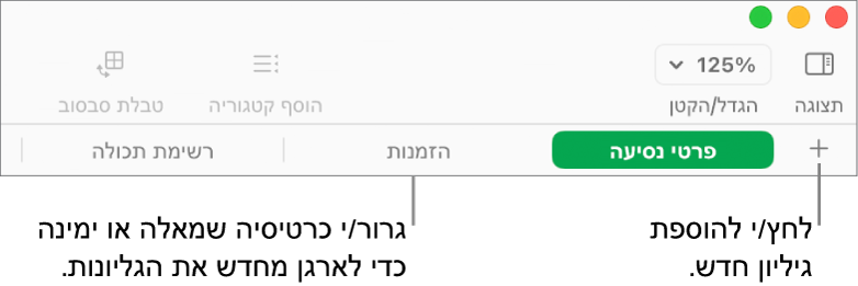 סרגל הלשוניות המאפשר הוספת גיליון חדש וארגון מחדש של הגיליונות.