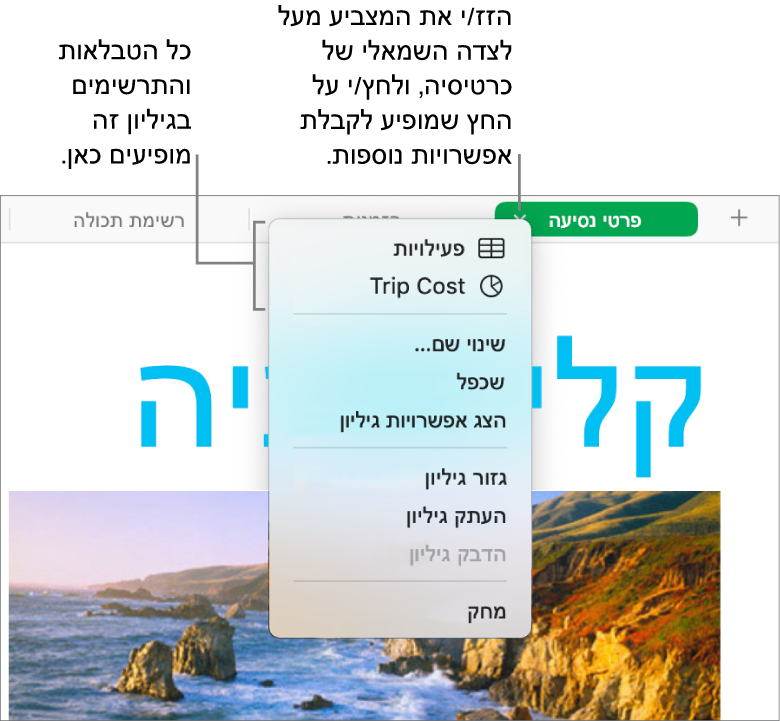 כרטיסיה של גיליון עבודה כאשר תפריט הקיצור פתוח ומציג אפשרויות, כולל ״שכפל״.