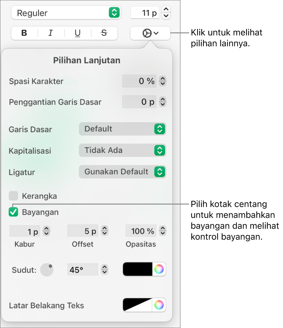 Menu Pilihan Teks Lainnya terbuka dan menampilkan kotak centang Bayangan yang dipilih dan kontrol untuk mengatur kekaburan, offset, opasitas, sudut, dan warna.