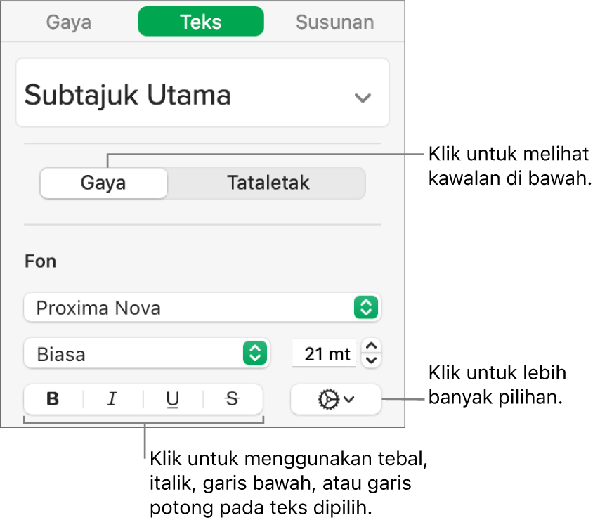 Kawalan Gaya dalam bar sisi dengan petak bual untuk butang Tebal, Italik, Garis Bawah dan Garis Potong.