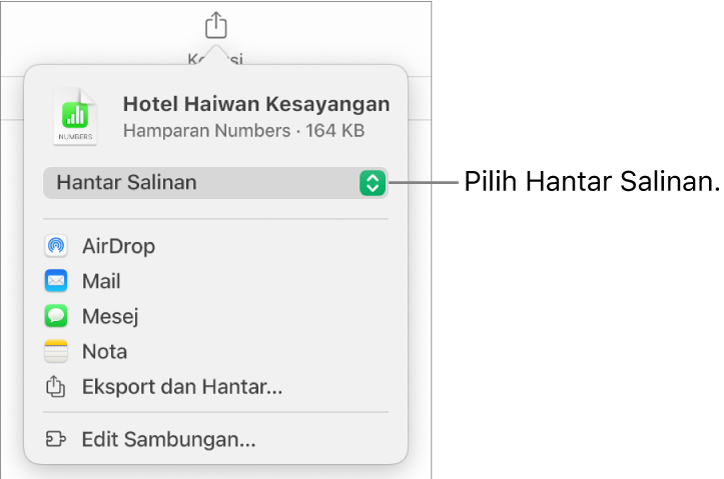 Menu Kongsi dengan Hantar Salinan dipilih di bahagian atas.