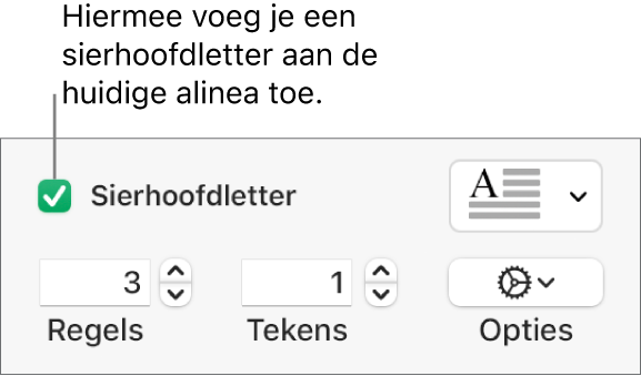 Het aankruisvak 'Sierhoofdletter' is ingeschakeld en rechts ervan staat een pop‑upmenu. Eronder staan regelaars voor het instellen van de regelhoogte, het aantal tekens en andere opties.