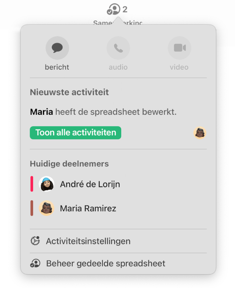 Het samenwerkingsmenu met daarin de namen van mensen die samen aan de spreadsheet werken.