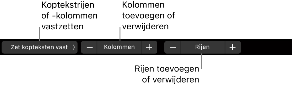 De Touch Bar op een MacBook Pro met regelaars voor het vastzetten van koptekstrijen of -kolommen, het toevoegen of verwijderen van kolommen en het toevoegen of verwijderen van rijen.