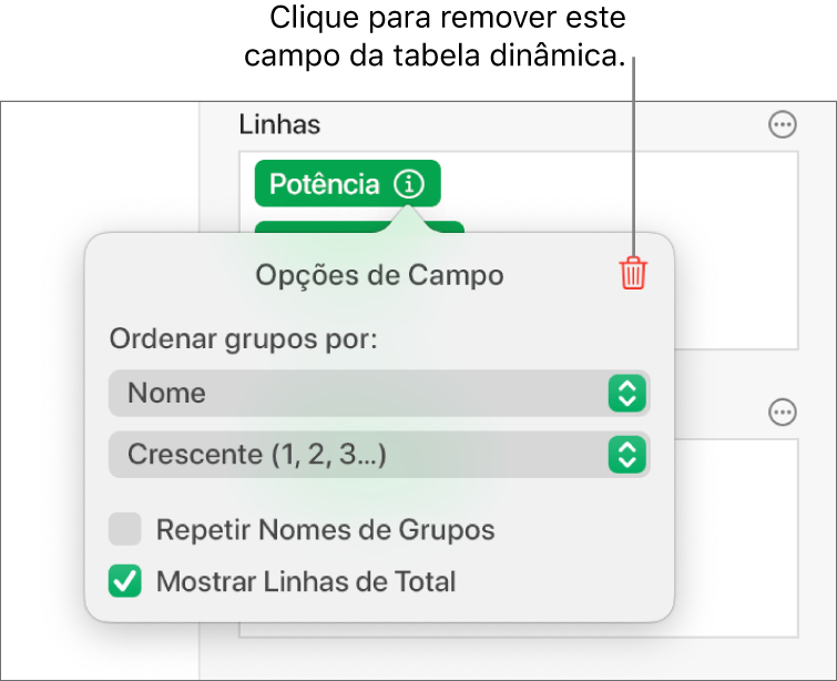 O menu Opções de Campo, mostrando os controles para agrupar e classificar dados, assim como a opção de remover um campo.