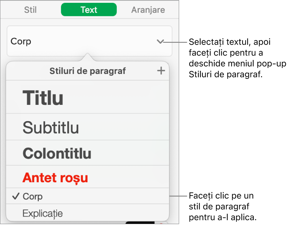 Meniul Stiluri de paragraf cu o bifă alături de stilul selectat.