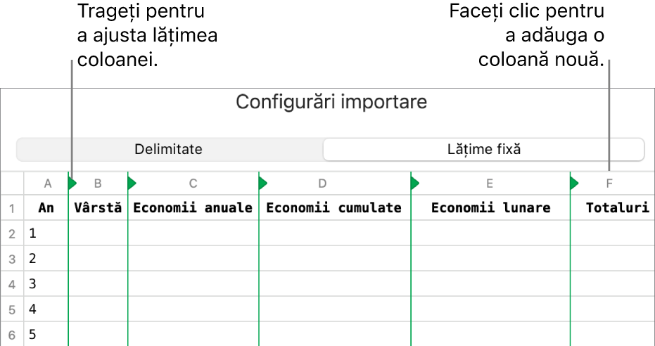 Configurările de importare pentru un fișier de text cu lățime fixă.