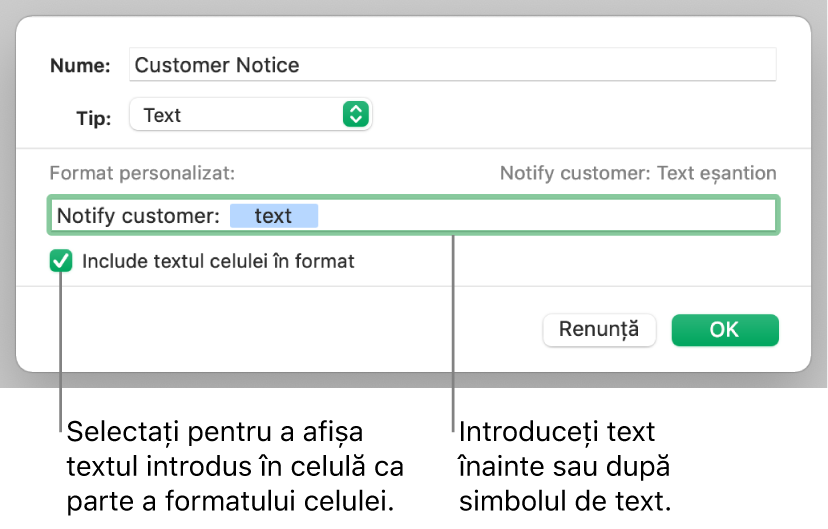 Format de text personalizat de celulă.