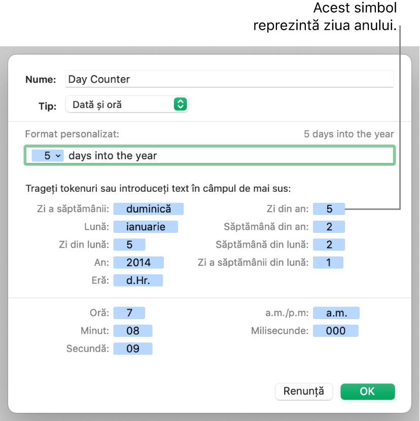 Format de dată și oră personalizat de celulă.