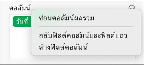 เมนูตัวเลือกฟิลด์เพิ่มเติม ที่แสดงตัวควบคุมสำหรับซ่อนผลรวมสุดท้าย สลับฟิลด์คอลัมน์และฟิลด์แถว และล้างฟิลด์