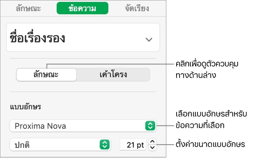 ตัวควบคุมข้อความในส่วนลักษณะของแถบด้านข้างรูปแบบสำหรับตั้งค่าแบบอักษรและขนาดแบบอักษร