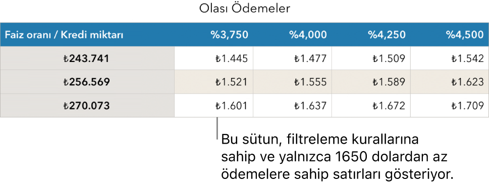 Karşılanabilir faiz oranları için filtre uygulandıktan sonra görünen ev kredisi tablosu.