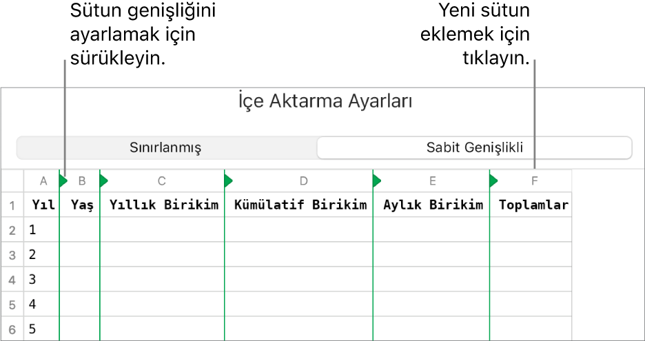 Sabit genişlikli metin dosyası için içe aktarma ayarları.