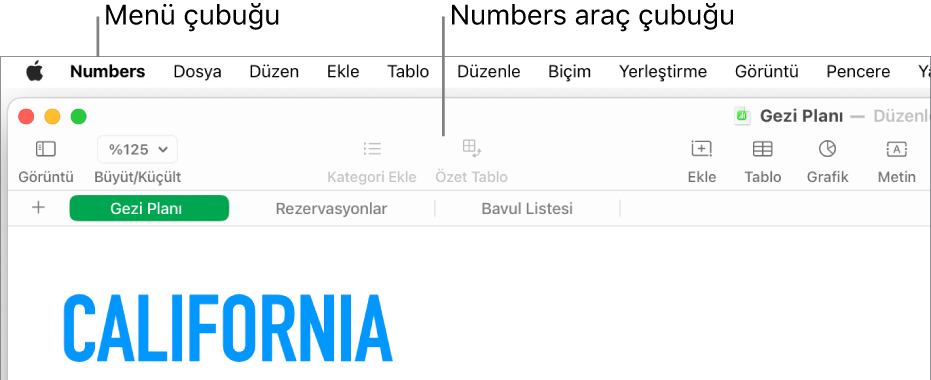 Elma menüsü, Numbers, Dosya, Düzen, Ekle, Tablo, Düzenle, Biçim, Yerleştirme, Görüntü, Pencere ve Yardım menüleriyle ekranın en üstündeki menü çubuğu. Menü çubuğunun altındaki açık bir Numbers hesap tablosunun en üstünde bulunan araç çubuğunda Görüntü, Büyüt/Küçült, Kategori Ekle, Özet Tablo, Ekle, Tablo, Grafik ve Metin düğmeleri var.