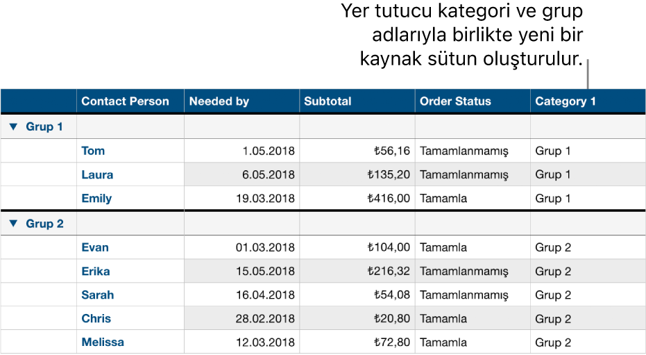 Kategori ve gruplar için yer tutucu adların kullanıldığı, kategoriye ayrılmış bir tablo.