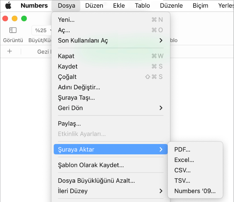 Şuraya Aktar seçilmiş ve alt menüde PDF, Excel, CSV ve Numbers ’09 için dışa aktarma seçenekleri gösterilen Dosya menüsü.