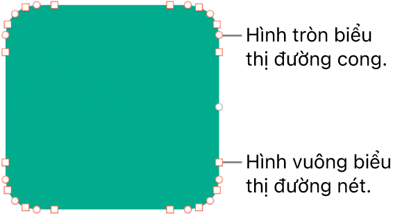 Hình có các điểm có thể sửa.