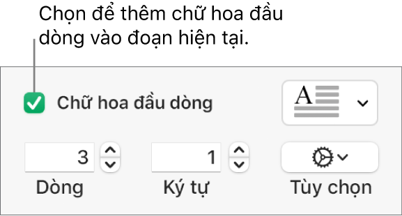 Hộp kiểm Chữ hoa đầu dòng được chọn và menu bật lên xuất hiện ở bên phải; các điều khiển để đặt chiều cao đường, số lượng ký tự và các tùy chọn khác xuất hiện bên dưới.