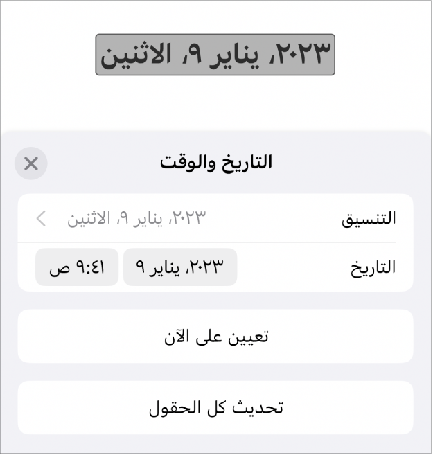 عناصر تحكم التاريخ والوقت تعرض قائمة منبثقة لتنسيق التاريخ وزري تعيين على الآن وتحديث كل الحقول.