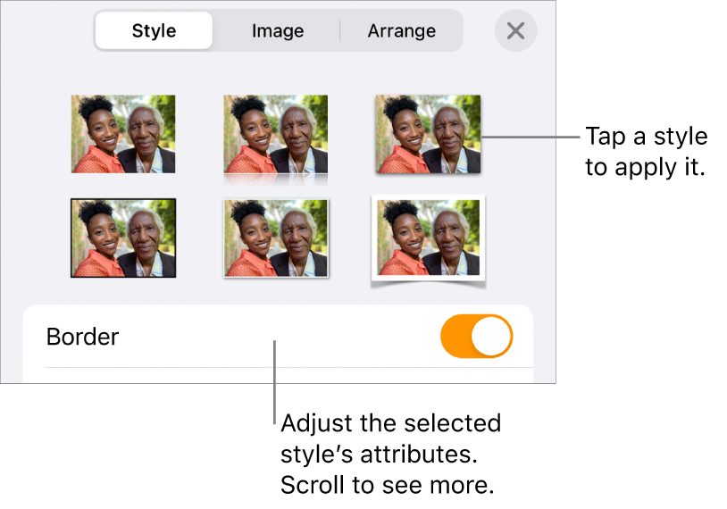 The Style tab with image styles at the top and the Style Options button at the bottom.