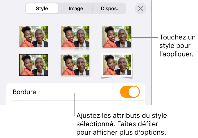 L’onglet Style avec les styles d’images en haut et le bouton Options de style en bas.