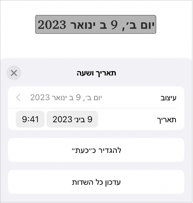 כלי הבקרה של ״תאריך ושעה״ עם תפריט קופצני של מבנה התאריך ועם הכפתורים ״קבע להיום״ ו״עדכן את כל השדות״.