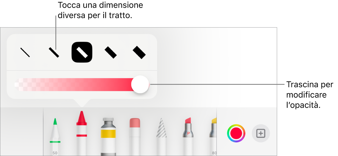 Controlli per scegliere una dimensione tratto e cursore per regolare l’opacità.