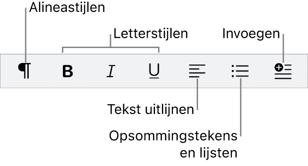 De snelle opmaakbalk met symbolen voor alineastijlen, letterstijlen, tekstuitlijning, opsommingstekens en lijsten, en het invoegen van elementen.