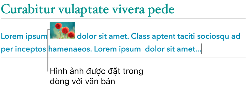 Một hình ảnh được đặt trong dòng với văn bản.