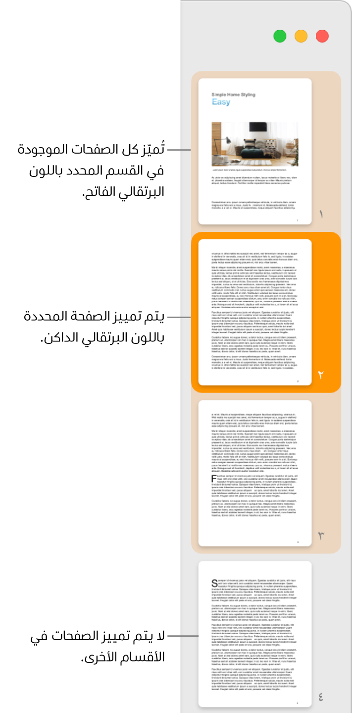 الشريط الجانبي "عرض الصور المصغرة" وبه الصفحة المحددة مميزة باللون البرتقالي الداكن وجميع الصفحات في القسم المحدد مميزة باللون البرتقالي الفاتح.