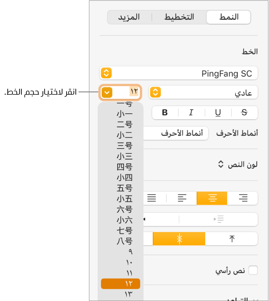 قسم النمط في الشريط الجانبي "التنسيق" مع القائمة المنبثقة لحجم الخط مفتوحة. أحجام الخط القياسية لحكومة بر الصين الرئيسي تظهر في أعلى القائمة المنبثقة مع أحجام النقاط في الأسفل.
