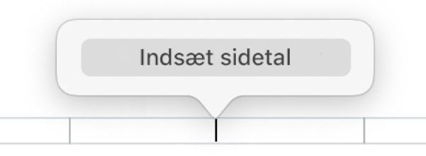 Knappen Indsæt sidetal under sidehovedet.