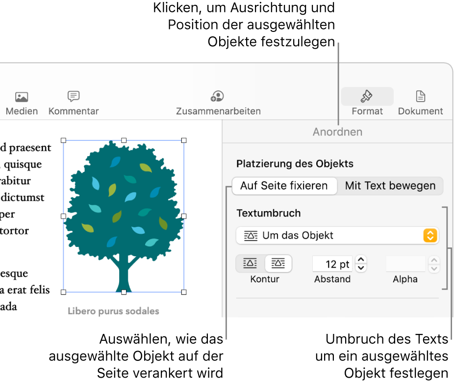 Das Menü „Format“ mit der angezeigten Seitenleiste „Anordnen“. Die Einstellungen „Platzierung des Objekts“ ganz oben in der Seitenleiste „Anordnen“ mit den Einstellungen „Textumbruch“ unten