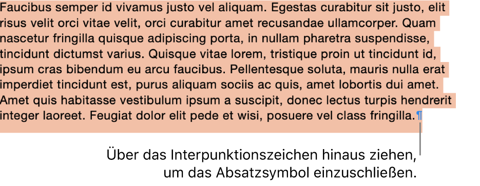 Es ist ein Absatz ausgewählt, bei dem das Absatzsymbol in die Auswahl einbezogen wurde.