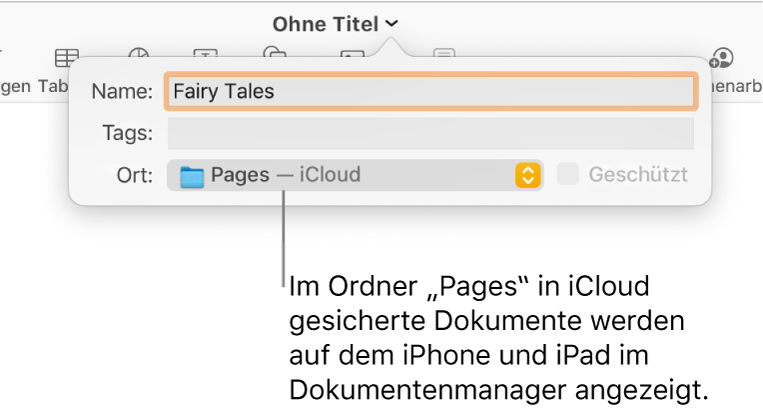 Das Fenster „Sichern“ für ein Dokument mit Pages – iCloud im Einblendmenü „Ort“