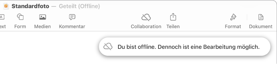 Die Tasten oben auf dem Bildschirm, darunter die Taste „Zusammenarbeit“, die als mit einer diagonalen Linie durchgestrichenen Wolke dargestellt wird. Ein Hinweis auf dem Bildschirm besagt, dass du offline bist, aber weiterhin arbeiten kannst.