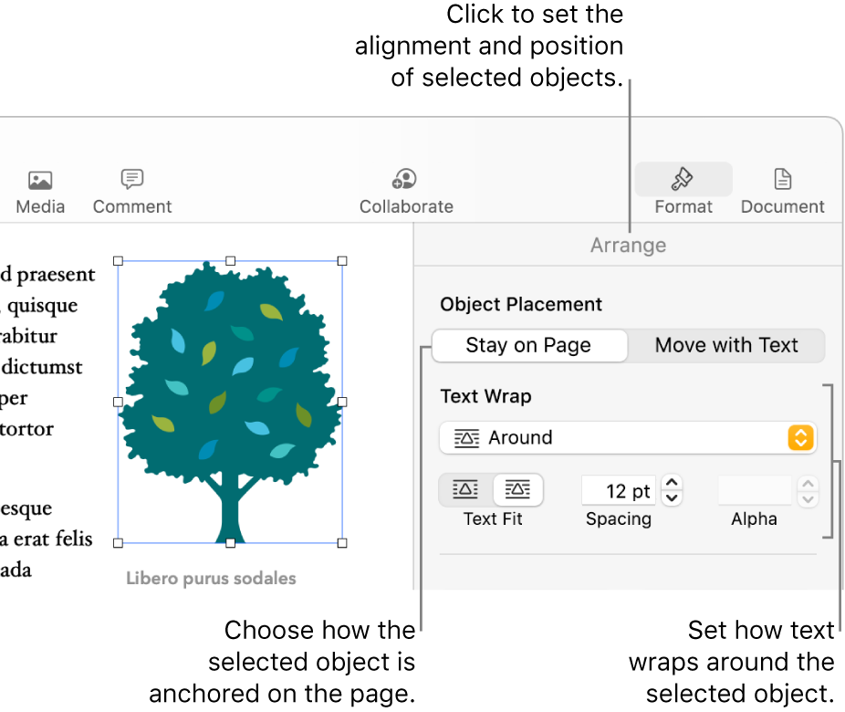 The Format menu with the Arrange sidebar displayed. The Object Placement settings are at the top of the Arrange sidebar with the Text Wrap settings below.