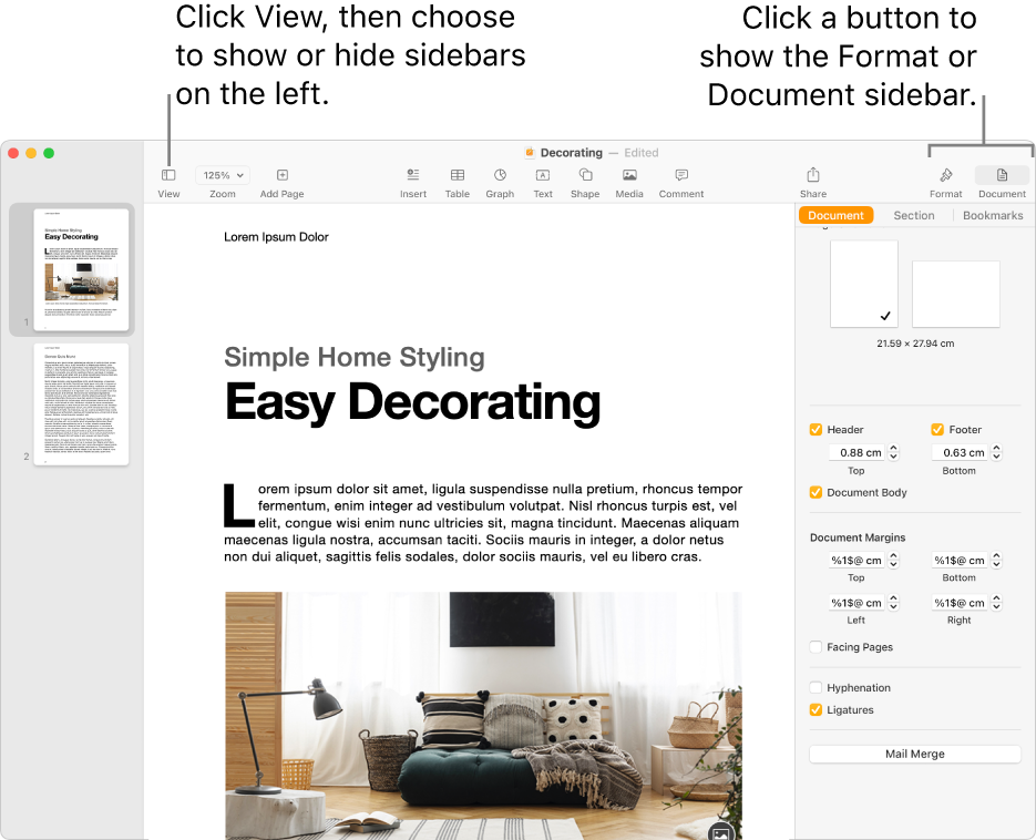 The Pages window with a call out to the View menu button and Format and Document buttons in the toolbar. Sidebars are open on the left and right.