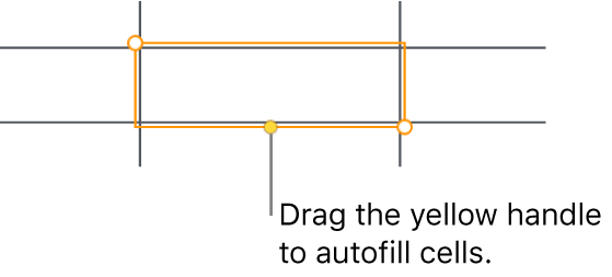 A selected cell with a yellow handle you can drag to auto fill cells.