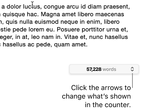 The word count menu showing the number of words in the document.