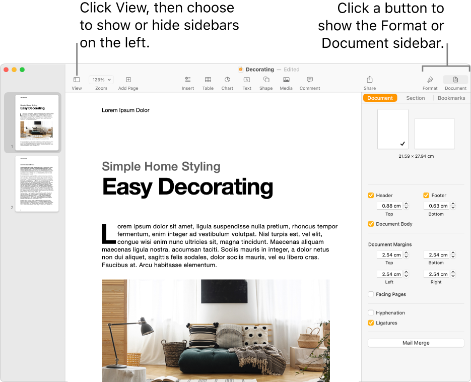 The Pages window with callouts to the View menu button and Format and Document buttons in the toolbar. Sidebars are open on the left and right.