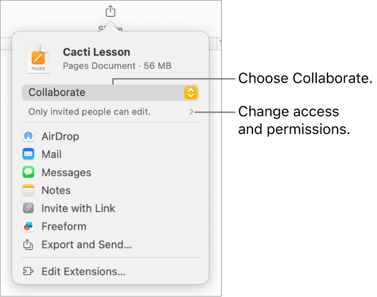 The Share menu with Collaborate selected at the top, and access and permission settings underneath.