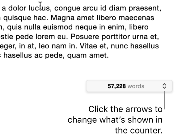 The word count menu showing the number of words in the document.