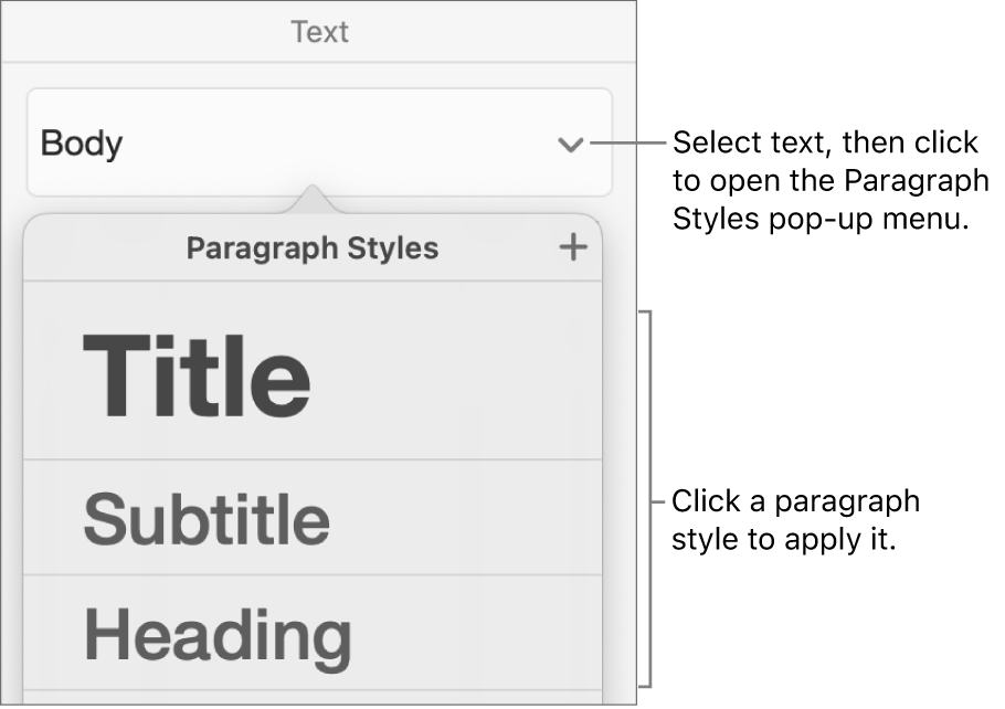 The Paragraph Styles menu.