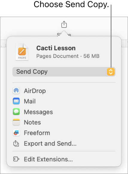 The Share menu with Send Copy selected at the top.