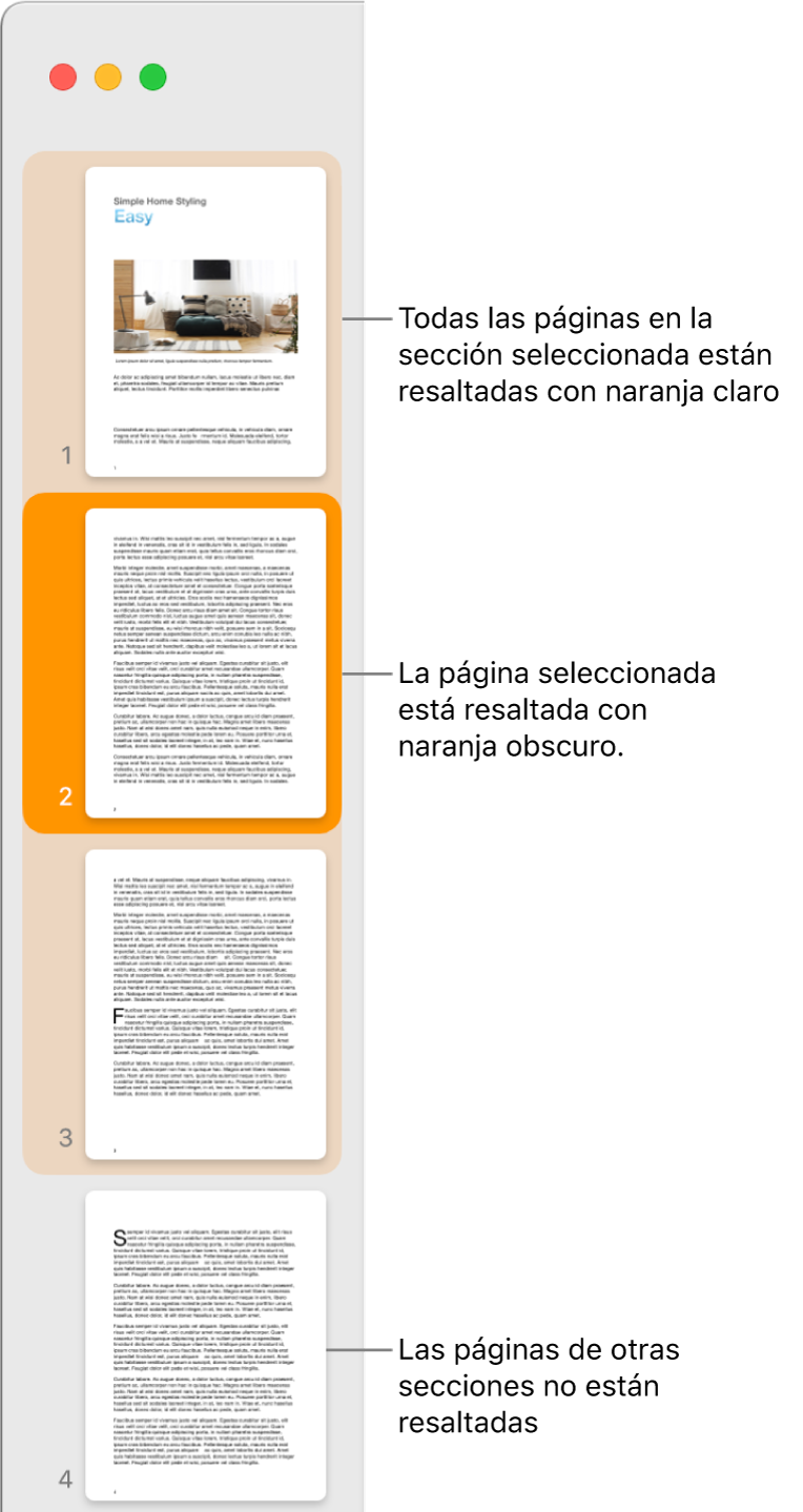 Barra lateral Visualización de miniaturas de página con la página seleccionada resaltada en naranja oscuro, y todas las páginas de la sección seleccionada resaltadas en naranja claro.