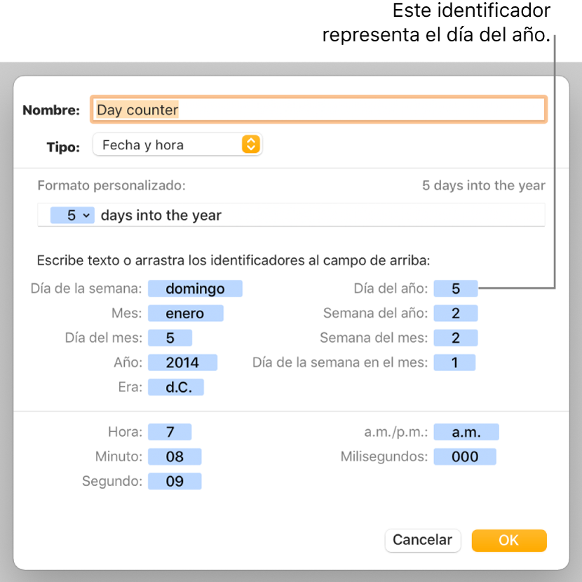 La ventana de formato de celda personalizado con controles para seleccionar formatos de fecha y hora personalizados.