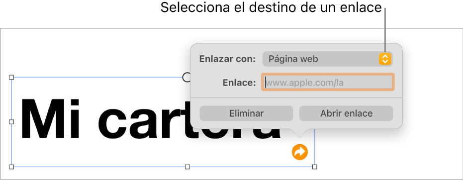 Los controles del editor de enlaces con la opción Página Web seleccionada, con el botón Eliminar y el botón Abrir enlace en la parte de abajo.